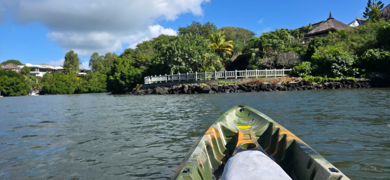 Mangrove Kayaking — Mauritius