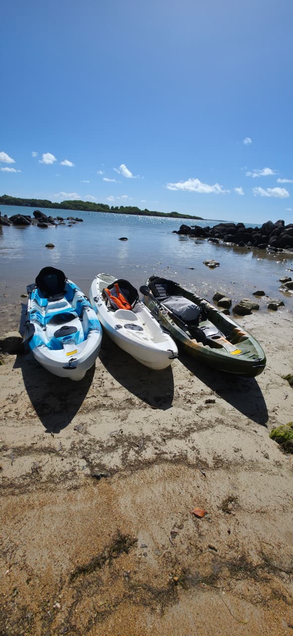 Mangrove Kayaking Mauritius 2
