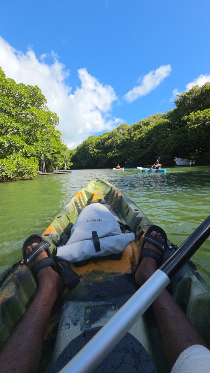 Mangrove Kayaking Mauritius 4