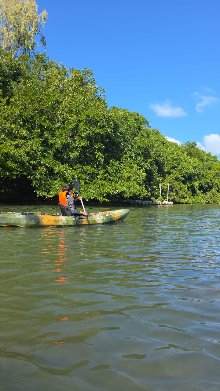 Mangrove Kayaking Mauritius 5