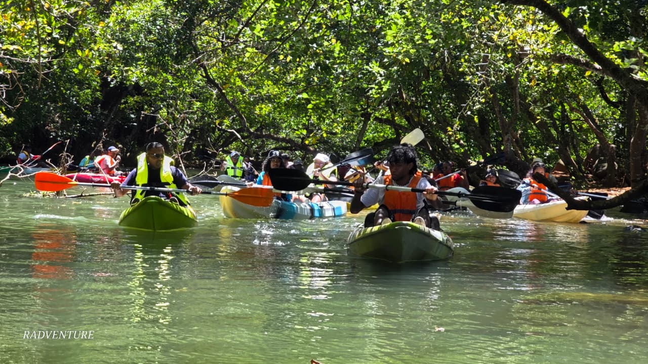 Mangrove Kayaking Mauritius 6