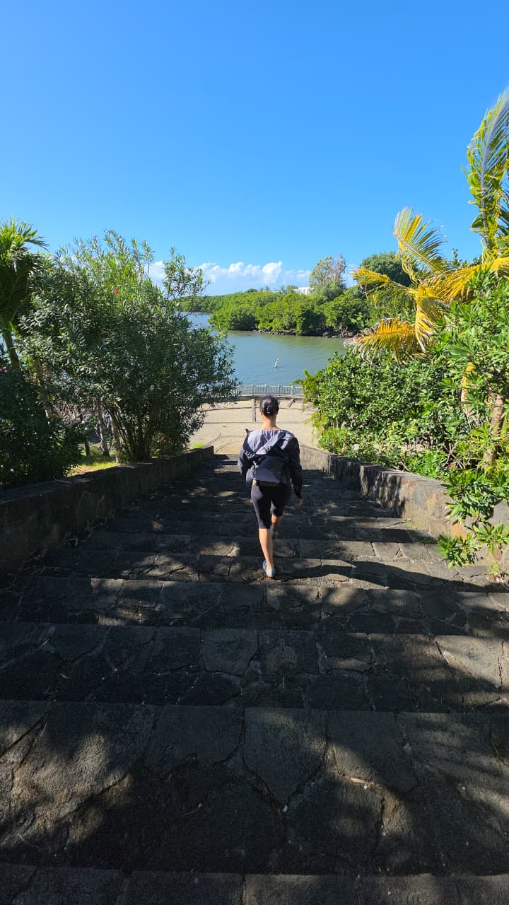 Mangrove Kayaking Mauritius 7