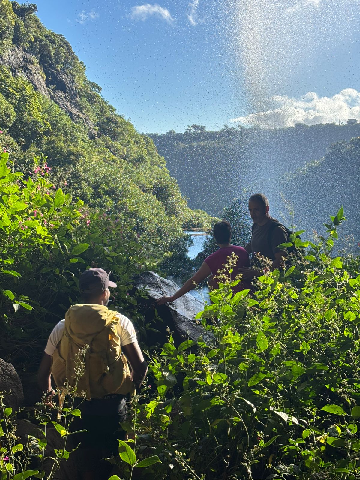 Waterfalls & River Treks Mauritius 8